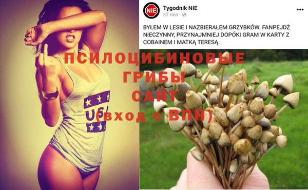 кристаллы Нягань