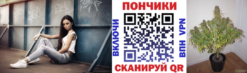 Марихуана Ganja  как найти закладки  Кольчугино 